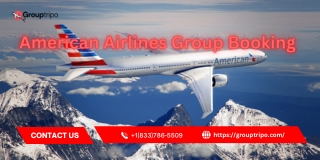 American Airlines Group Booking