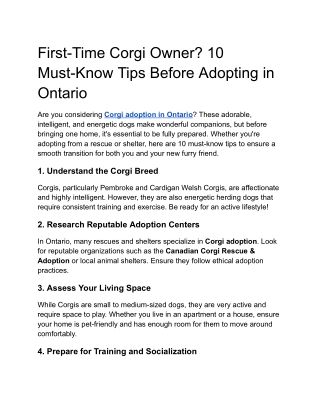 First-Time Corgi Owner