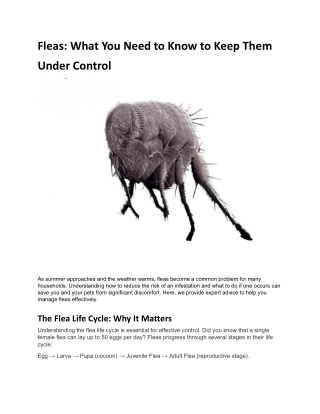 Fleas_ What You Need to Know to Keep Them Under Control.docx (1)