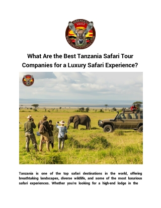What Are the Best Tanzania Safari Tour Companies for a Luxury Safari Experience