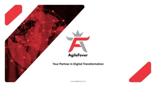 AgileFever Services