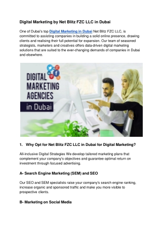 Digital Marketing by Net Blitz FZC LLC in Dubai