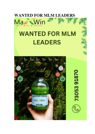 WANTED FOR MLM LEADERS