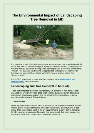 The Environmental Impact of Landscaping Tree Removal in MD