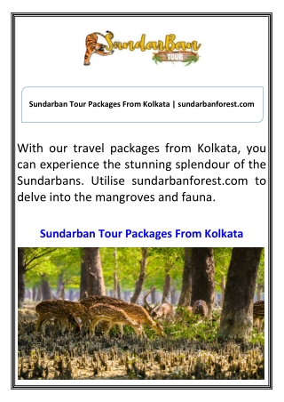Sundarban Tour Packages From Kolkata sundarbanforest.com