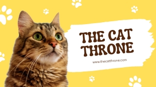 Benefits of Toilet Training Your Cat with the cat throne