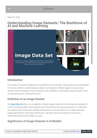 Understanding Image Datasets The Backbone of AI and Machine Learning