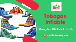 Tobogan Inflable - Castlebouncy.com