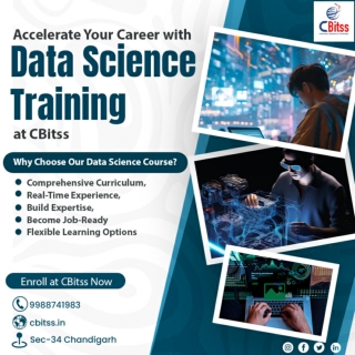 Data Science Training in Chandigarh | Master AI & Analytics with CBitss