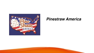 Where To Buy Pine Straw  Pinestrawamerica.com