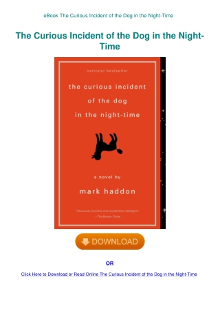 eBook The Curious Incident of the Dog in the Night-Time