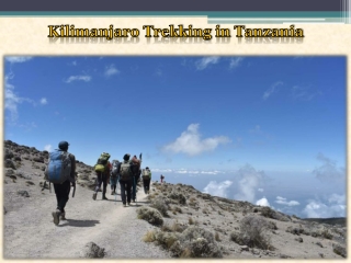 Kilimanjaro Trekking in Tanzania