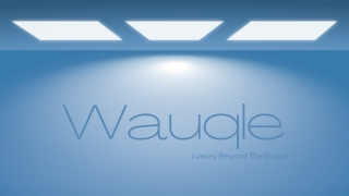 Luxury Dress Design Grab Them Now at Wauqle