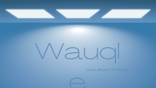 Luxury Dress Design Grab Them Now at Wauqle