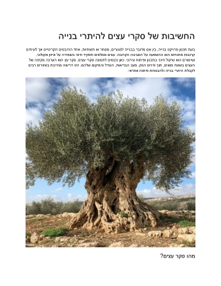 Enhancing Landscape and Property Value