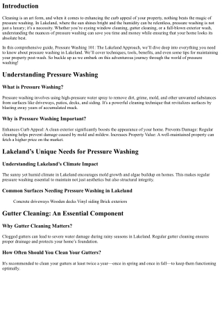 Pressure Washing 101: The Lakeland Approach