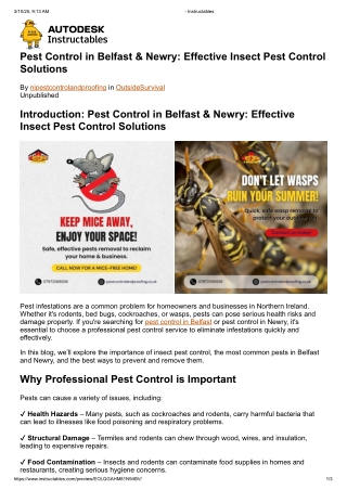 Pest Control in Belfast & Newry: Effective Insect Pest Control Solutions