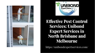 Best Pest Control In Brisbane Unibond Expert Services