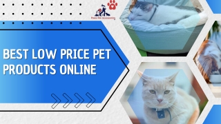 Best Low Price Pet Products Online