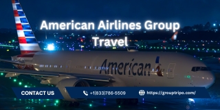 American Airlines Group Travel