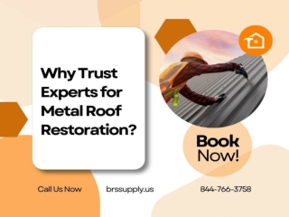Why Trust Experts for Metal Roof Restoration