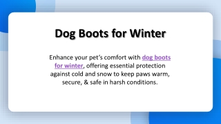 Dog Boots for Winter