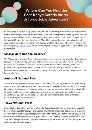 Where Can You Find the Best Kenya Safaris for an Unforgettable Adventure