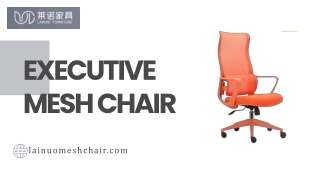 executive mesh chair (2)