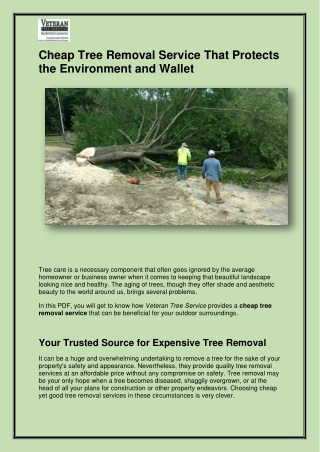 Cheap Tree Removal Service That Protects the Environment and Wallet