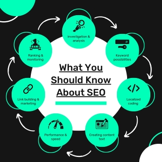 Black and Green SEO Marketing Infographic Instagram Post
