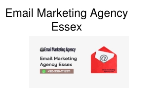 Email Marketing Agency Essex
