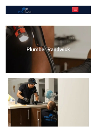 Plumber Randwick