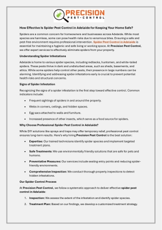 How Effective Is Spider Pest Control in Adelaide for Keeping Your Home Safe