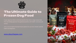 Keep Your Pup Healthy with the Best Frozen Dog Food!