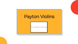 Student String Instruments