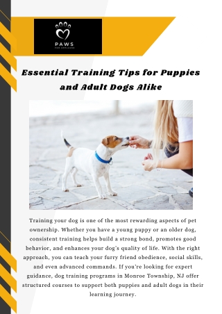 Essential Training Tips for Puppies and Adult Dogs Alike