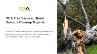 How Can GBA Tree Service Help with Storm Damage Cleanup?