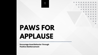 Professional Dog Training in Monroe, NJ - Paws for Applause
