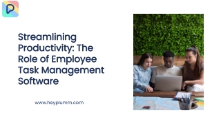 Streamlining Productivity The Role of Employee Task Management Software