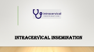 At Home Pregnancy Insemination Kit