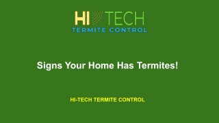Signs Your Home Has Termites