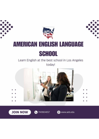American English Language School