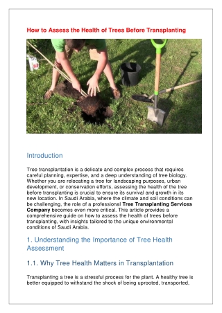How to Assess the Health of Trees Before Transplanting