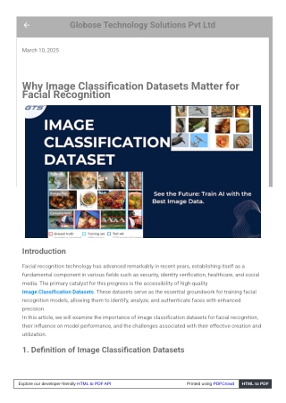 globose44_blogspot_com_2025_03_why_image_classification_data