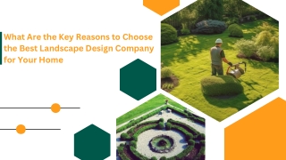 Expert Landscape Solutions for Creative Outdoor