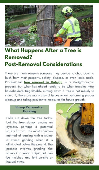 What Happens After a Tree is Removed Post-Removal Considerations