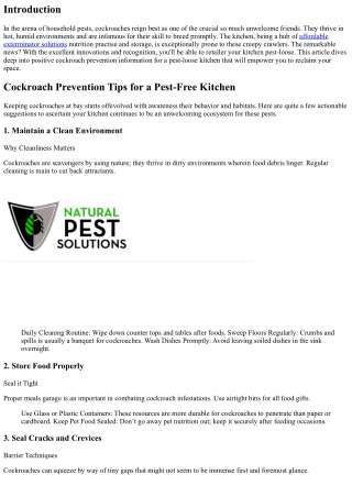 Cockroach Prevention Tips for a Pest-Free Kitchen