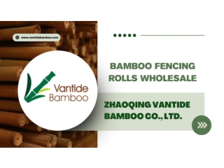 Bamboo fencing rolls wholesale - Vantidebamboo.com