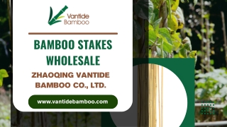 Bamboo Stakes Wholesale - Vantidebamboo.com