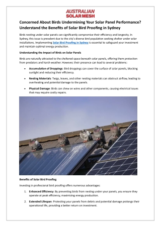Concerned About Birds Undermining Your Solar Panel Performance - Understand the Benefits of Solar Bird Proofing in Sydne